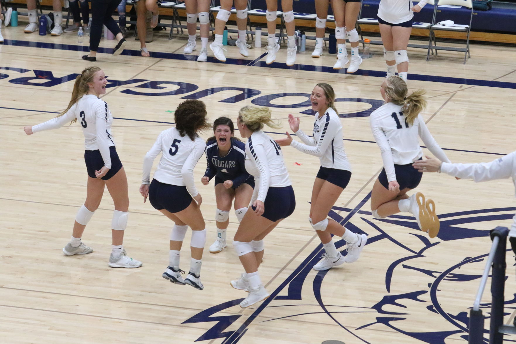 Volleyball (7).JPG